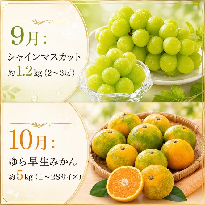 【 小豆島 】【12回お届け】土庄町 ふるさと果実 定期便 12回