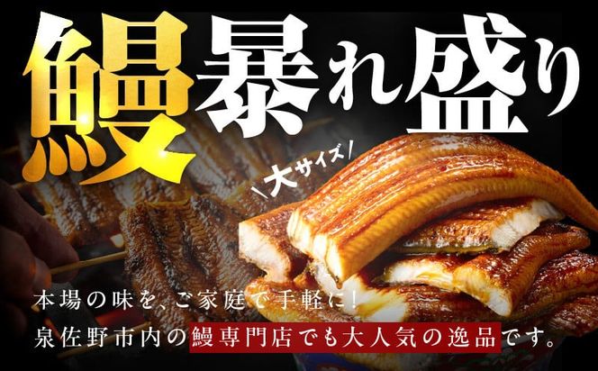 G3614 暴れ盛りセット 牛たん & うなぎ 総量 1.2kg【600g×2 牛肉 厚切り牛タン 鰻 蒲焼き 訳あり サイズ不揃い 小分け 家計応援】