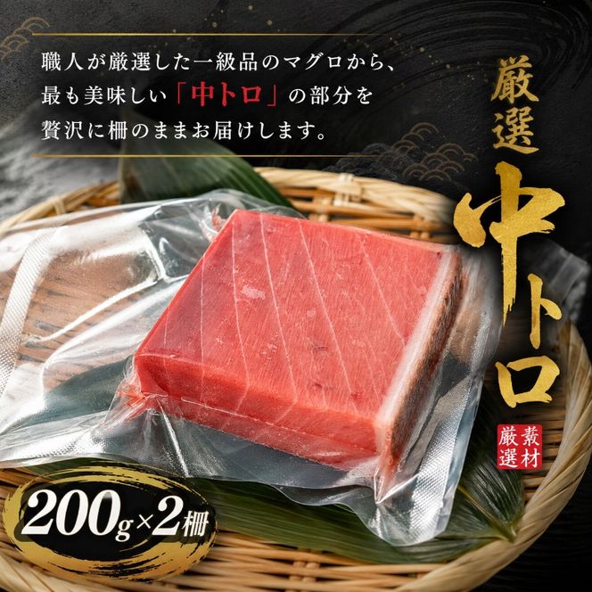 本マグロ 中トロ 400g まぐろ マグロ刺身 マグロ たたき マグロ丼 鮪 マグロ漬け丼の具 冷凍 鮪 マグロ ネギトロ丼 マグロ まぐろ ブロック 赤身 天然 スライス刺し身 さしみ 魚介 海鮮 海鮮丼 おかず 惣菜 冷凍 お取り寄せ 冷凍 高知県 安芸市 おいしい 簡単 時短 海の幸 生鮮