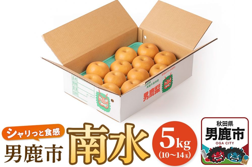 [令和8年度 早期受付]南水 5kg 10玉〜14玉 梨 なし ナシ 秋田県 男鹿市 旬の果物 フルーツ|23_fre-060501