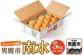 【令和8年度 早期受付】南水 5kg 10玉～14玉 梨 なし ナシ 秋田県 男鹿市 旬の果物 フルーツ|23_fre-060501
