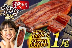 うなぎ 訳あり 鰻 蒲焼 特大 1尾 約370g 不揃い 規格外 小分け [大黒物産 福岡県 宇美町 um40bak830008] タレ 山椒付 茶葉蒸し ウナギ うなぎ蒲焼 鰻蒲焼き 蒲焼き かば焼き 真空パック 個包装 冷凍 unagi
