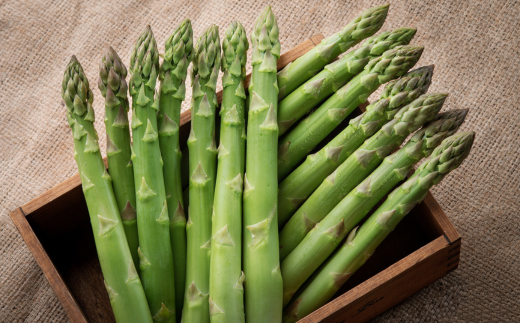 2026年産 柔らかくてみずみずしい朝取りグリーンアスパラ(春芽)3L 1kg【配送不可地域：離島】 BHRG028