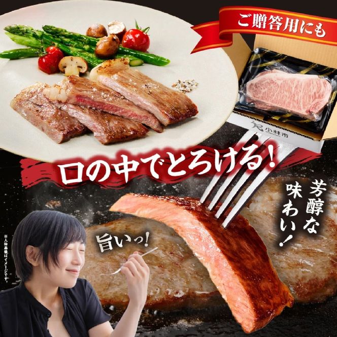 【A5等級宮崎牛】サーロインステーキ 400g（小林市産 牛肉 和牛 特選 贅沢 厳選和牛 ブランド牛 ギフト 贈答）