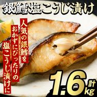 銀鱈塩こうじ漬け(計1.6kg) たら タラ おかず おつまみ 惣菜 漬魚 漬け魚 塩麹漬け リピート 魚介類 海産物 冷凍 加工品 国内加工 加熱調理【グローバルフーズ】akn061-16