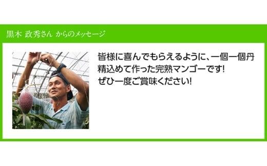 【令和8年発送】宮崎県産完熟マンゴー「おひさまハニーマンゴー」4L×2玉 【 果物 フルーツ マンゴー 宮崎県産 完熟マンゴー みやざきマンゴー 先行予約 数量限定 期間限定 】[C03302]