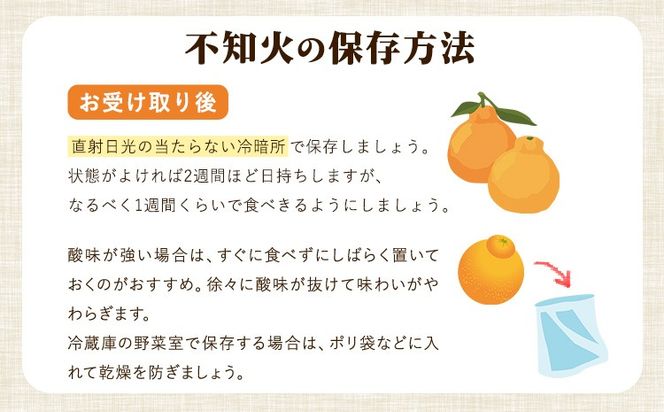 森田果樹園の不知火 10kg 20～32個程度　《2027年2月中旬-4月下旬頃出荷》森田果樹園 果物 フルーツ 柑橘 熊本---hkw_mtk_8_10kg---