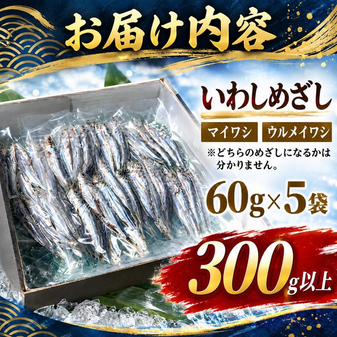 小筋 いわし めざし 60g×5袋 マイワシ ウルメイワシ 鰯 真イワシ 魚 魚介 水産 網焼き 炭火焼 おつまみ 酒の肴 ご飯のお供 京都 宮津市 myz02 myz11 myz17
