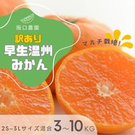 みかん (先行予約) 2S～3L サイズ混合 阪口農園の 訳あり 早生温州みかん (マルチ栽培) 【選べる容量 3kg・5kg・10kg】【2025年12月中旬から順次発送】 / みかん 蜜柑 先行予約 数量限定 ミカン【msa003A-004A-005A】
