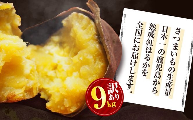 畑の金貨　生芋　訳あり紅はるか9kg　K181-007