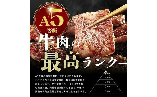 【小分け】＜A5等級＞鹿児島県産 黒毛和牛 牛肉 赤身 焼肉 (200g×3P/計600g)  a5-362