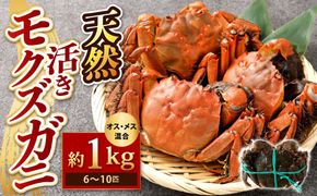 【期間限定】天然活きモクズガニ 約1kg（6匹～10匹 オス・メス混合） 1匹ずつひもで縛ってお届け 下処理不要 調理レシピ付き 1049001 