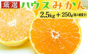 厳選 ハウスみかん2.5kg+250g（傷み補償分）