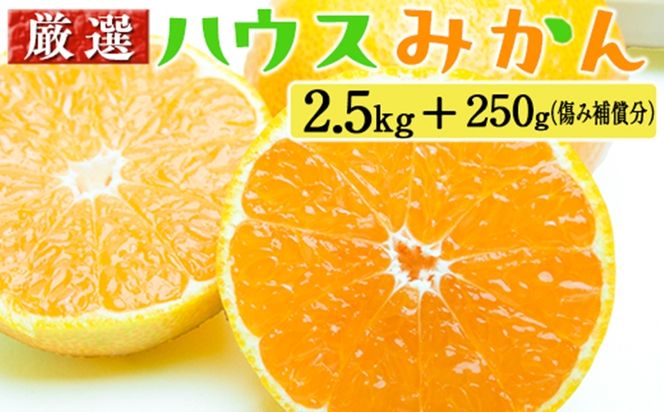 厳選 ハウスみかん2.5kg+250g（傷み補償分）