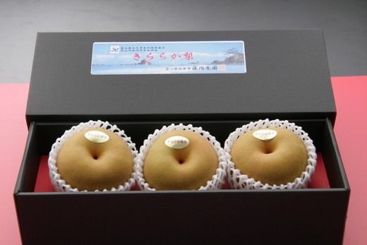 [訳ありセット]冬に味わう！藤岡さんが作った氷温保存きららか梨 3玉入り ※2025年12月中旬頃～2026年4月上旬頃に順次発送予定 ※離島への配送不可