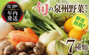 005A443y 【年内発送】旬の野菜セット 詰め合わせ 7種類以上 国産 新鮮 お試し おまかせ お楽しみ