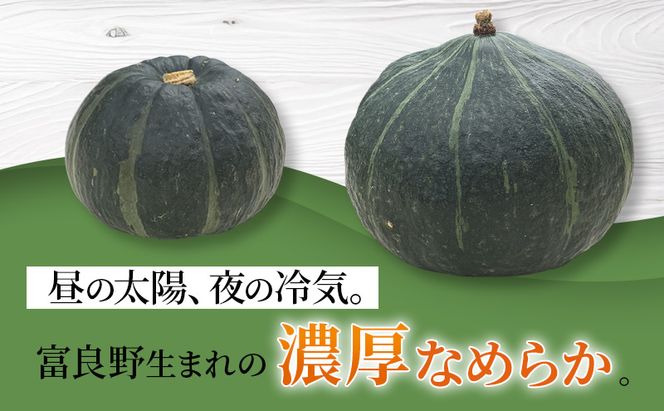 【2026年秋発送】野菜セット ( じゃがいも 玉葱 南瓜 ) 野菜 いも じゃがいも 玉ねぎ かぼちゃ 新鮮 北海道 富良野