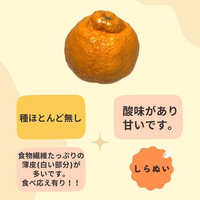 和歌山 有田 不知火 しらぬい 5kg DJ062