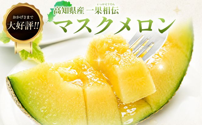メロン 2個 【2週間程度で発送】青肉 2玉 贈答 ギフト 高知 一果相伝マスクメロン 青肉 先行予約 フルーツ メロン 果物 デザート tn-0012