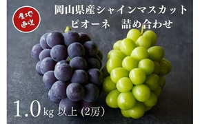 【2026年先行予約】 厳選 岡山県産 シャインマスカット・ピオーネ 詰め合せ 1.0㎏以上 2房 / 産地直送 朝採れ ぶどう 食べ比べ 先行予約 フルーツ 真庭市 【kgftmt008-02】