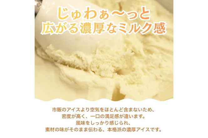 プロテインアイス あいすたんぱっくん しおみるく味 100ml × 12個 [KESENNUMA GOOD GOODS 宮城県 気仙沼市 20565966] アイス プロテイン 高タンパク コラーゲン 濃厚 塩 ミルク スイーツ デザート