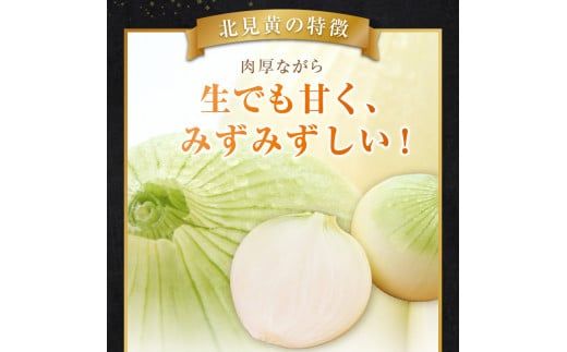  【予約：2026年9月下旬から順次発送】幻の北見黄 北海道北見産 10kg ( 野菜 たまねぎ 玉ねぎ タマネギ Lサイズ 10キロ 詰合せ )【002-0004-2026】