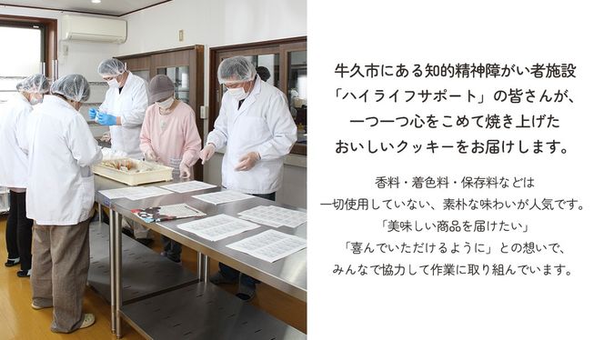クッキー 5種 詰め合わせ 計52枚 お菓子 おやつ 焼き菓子 セット 小分け 小袋 スイーツ プレーン ココア コーヒー チーズ メープル 障がい者就労支援 [ET004us]