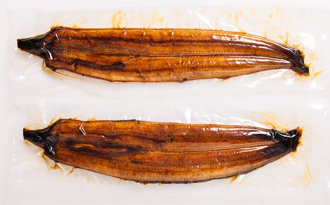 高知県産養殖うなぎ蒲焼 5尾(合計500g以上) - タレ付き たれ 土用の丑の日 鰻 ウナギ かばやき 蒲焼き うな丼 うな重 ギフト お中元 御中元 父の日 お礼 御礼 感謝 プレゼント 送料無料 須崎市道の駅 高知県 香南市 ss-0040