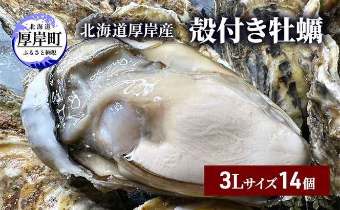 北海道 厚岸産 殻付き 牡蠣 3Lサイズ 14個 魚貝類 生牡蠣 海鮮 海の幸 生食用牡蠣 生食用 生食用殻付き牡蠣 濃厚 甘み マルえもん オイスター 