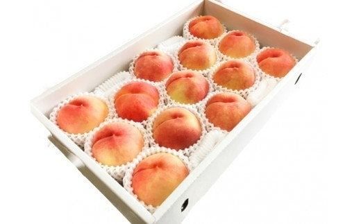 紀州和歌山産の桃　約4kg　化粧箱入 ※2025年6月下旬～2025年8月上旬頃順次発送（お届け日指定不可）【uot723A】