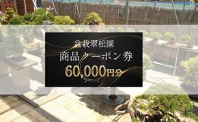 盆栽 翠松園 商品クーポン券 60,000円分 植物 観葉植物 園芸 商品券 兵庫県