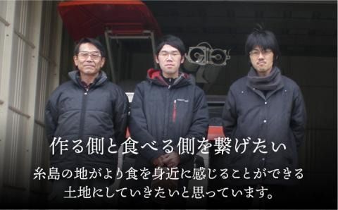 【先行予約】 爽やかに 甘い ！ 糸島産 「 はるか 」 贈答用 約 5kg 【2025年3月より順次発送】二丈赤米産直センター[ABB001]