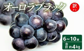 【2026年 先行予約】【訳あり品】オーロラブラック 6～10房 合計約4kg 常温配送 ぶどう 葡萄 フルーツ 果物 岡山 高梁市