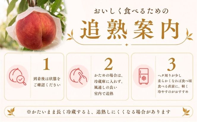 【2026年　先行予約】山梨県産　桃約２㎏（6～8玉）　GA003