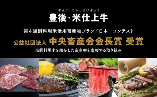 E-67 豊後・米仕上牛 カタ、ミスジ 焼肉 計600g