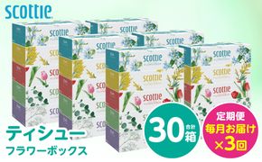 【定期便3回】【毎月お届け】【スコッティ】 ティシュー フラワーボックス 250組 30箱 計90箱 ティッシュ 日用品 生活必需品 ストック 新生活 防災 生活用品 日用消耗品 箱ティッシュ