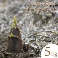 山﨑観光農園のたけのこ 5kg（AU029）