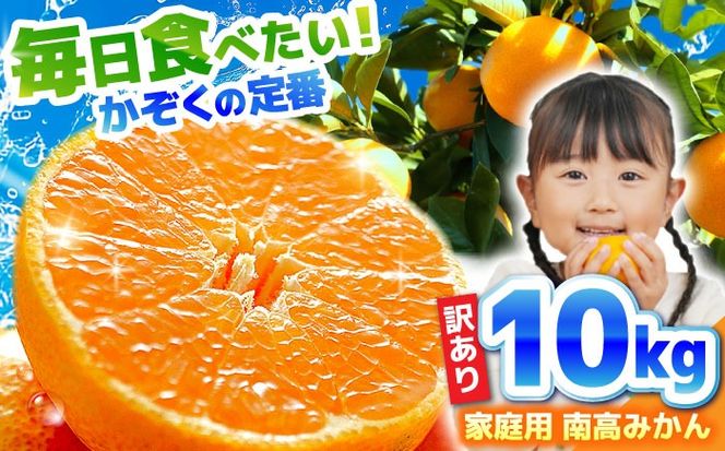 【2026年12月中旬～発送】【訳あり】家庭用 南高みかん 10kg / みかん ミカン 蜜柑 果物 フルーツ / 南島原市 / 南高果樹農業協同組合[SGI002]