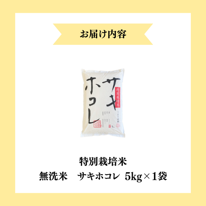 【令和7年産】【無洗米】特別栽培米サキホコレ5kg×1 米 コメ こめ 秋田県産 国産米
