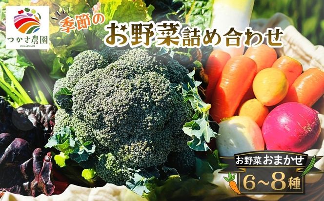 つかさ農園 季節のお野菜詰め合わせ（6～8種） ※北海道・沖縄・離島への配送不可 ※2026年6月中旬～9月下旬頃に順次発送予定