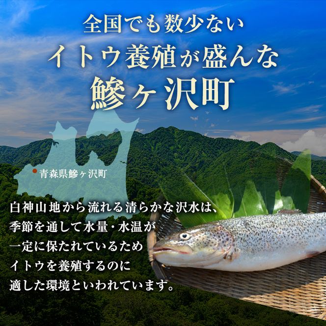 幻の魚イトウのうす造り（真空冷凍パック）170g×2パック 魚介類 