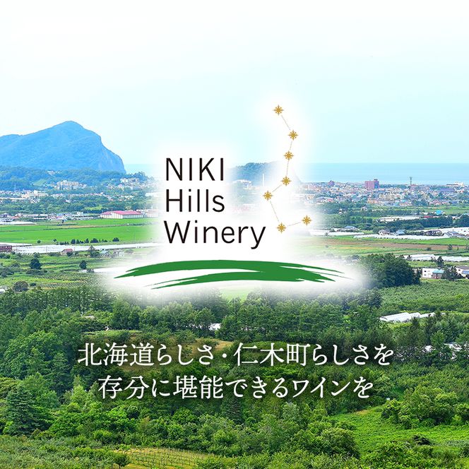 NIKI Hills Winery 白ワイン 【 HATSUYUKI 】 750ml ワイン 洋酒 お酒 アルコール ブドウ ぶどう ドライ [株式会社NIKI Hillsヴィレッジ]