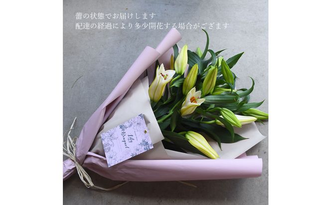 【母の日】カサブランカ３本とグリーンの花束＜お届け日：2026年5/4～5/10 当店おまかせ ＞母の日カード付き【 母の日 ギフト アレンジ 花 贈り物 大阪府 門真市 】 272230_BG127