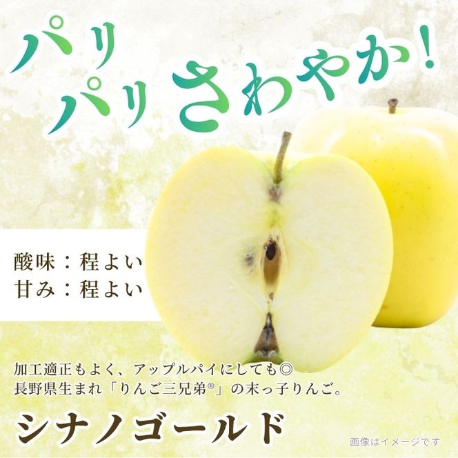 【2026年10月～発送】シナノゴールド 訳あり家庭用 約5kg 12～23玉 りんご 果物 訳あり 信州 長野