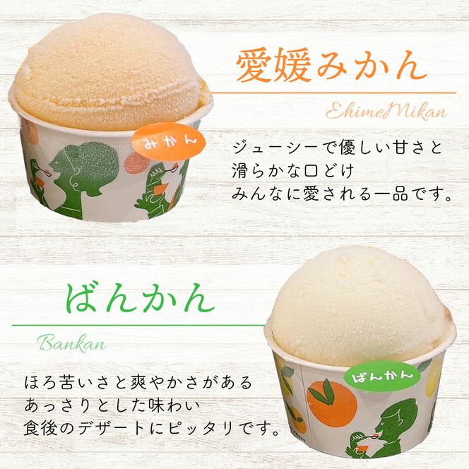 柑橘 カップ アイス 14個 (4種) 【 夢オレンジ 河内晩柑 愛媛みかん しらぬい 】 アイス ジェラート シャーベット ソルベ アイスクリーム ランキング 人気 贈答用 プレゼント みかん 柑橘 かんきつ まどんな 紅マドンナ 夢オレンジ 愛果28号 愛南ゴールド 不知火 デコポン 温州みかん 冷凍 みかん職人武田屋 愛媛県 愛南町