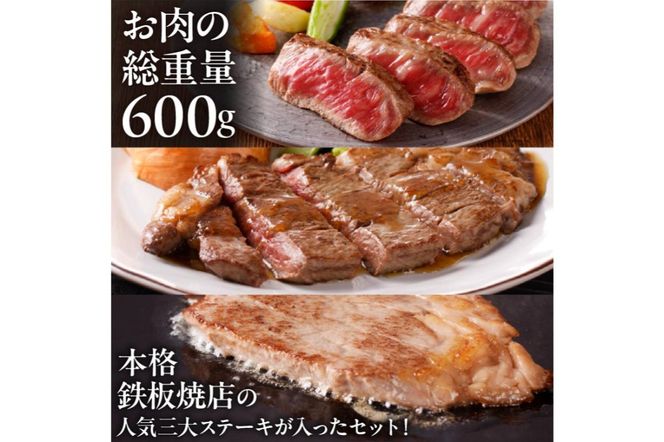 鉄板焼金三の希少部位ステーキセット（飛騨牛のヒレステーキ、サーロインステーキ、赤身のステーキ）【0048-001】