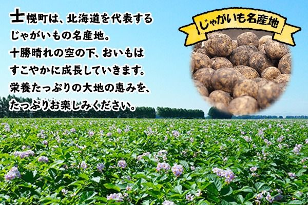 【CF】北海道 じゃがいも メークイン 10kg 北海道産 十勝産 ジャガイモ 芋 いも ポテト お取り寄せ まとめ買い 送料無料 十勝 士幌町【V05】