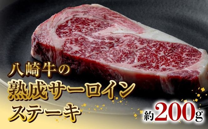 y{茧sz苍̏nT[CXe[L200g N0105-YA5502