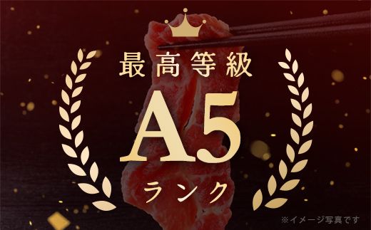 【げんさん】近江牛A5ランク切落し【500g】【訳あり】【DG12W】
