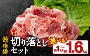 宮崎県産熟成豚 切り落としセット N0105-YA2280-sku